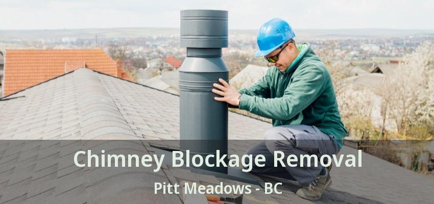 Chimney Blockage Removal Pitt Meadows - BC