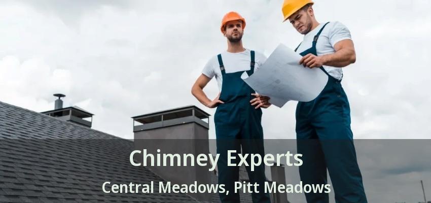 Chimney Experts Central Meadows, Pitt Meadows - BC