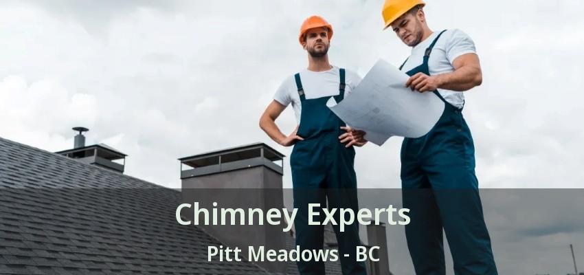 Chimney Experts Pitt Meadows - BC