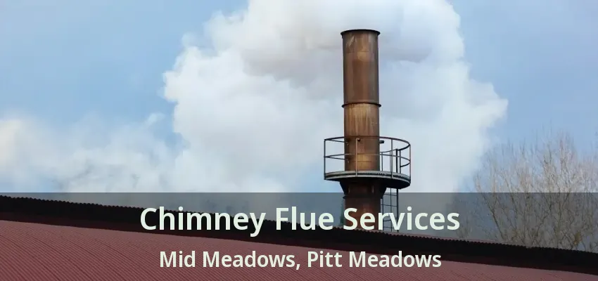 Chimney Flue Services Mid Meadows, Pitt Meadows - BC