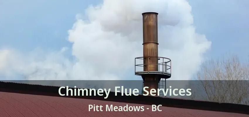 Chimney Flue Services Pitt Meadows - BC