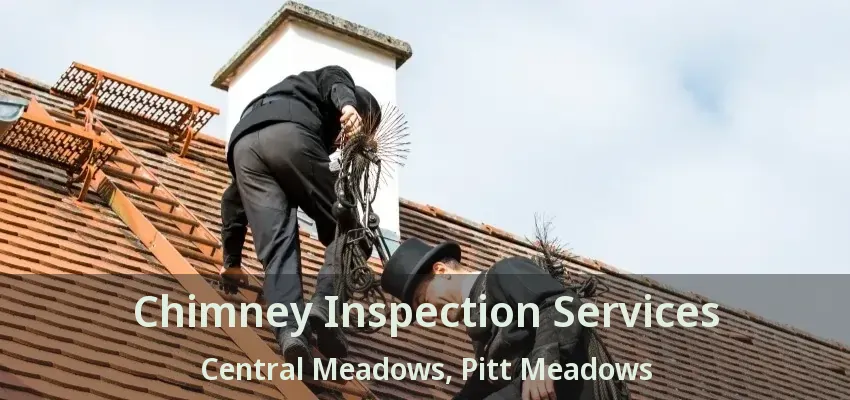Chimney Inspection Services Central Meadows, Pitt Meadows - BC