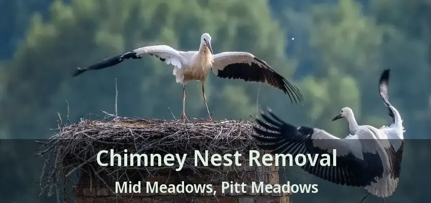 Chimney Nest Removal Mid Meadows, Pitt Meadows - BC