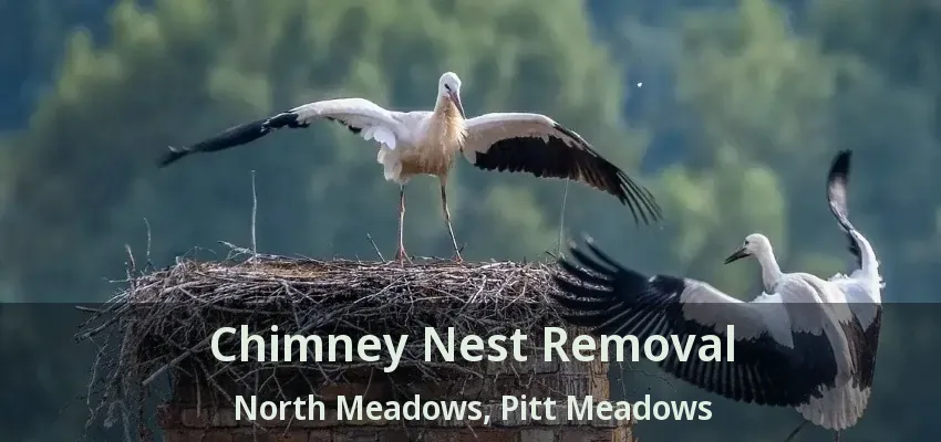 Chimney Nest Removal North Meadows, Pitt Meadows - BC