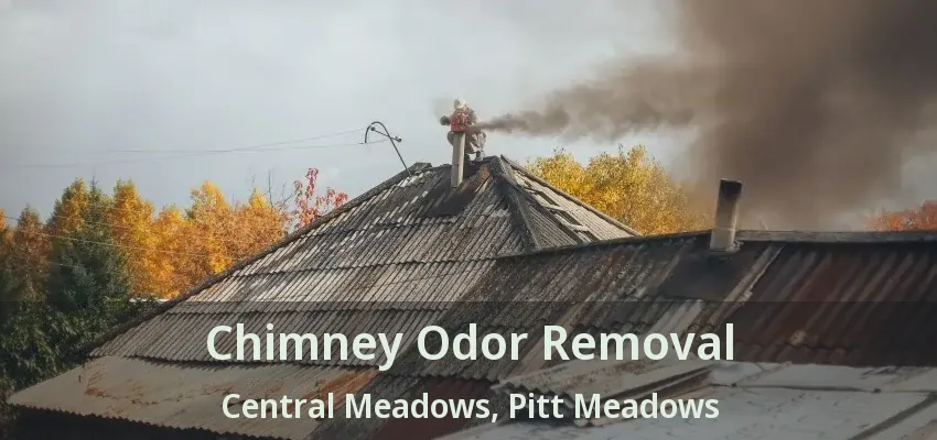 Chimney Odor Removal Central Meadows, Pitt Meadows - BC