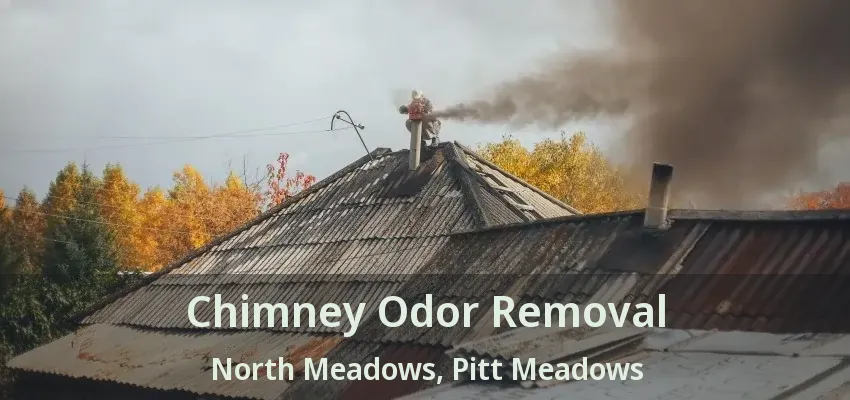 Chimney Odor Removal North Meadows, Pitt Meadows - BC