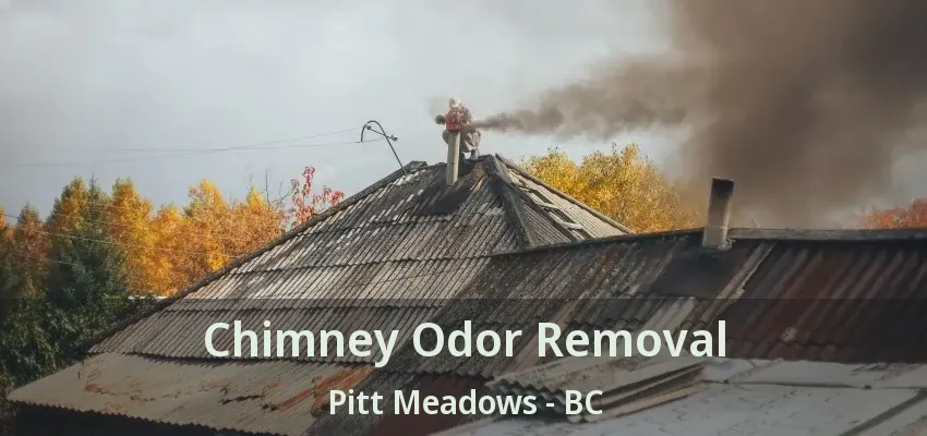 Chimney Odor Removal Pitt Meadows - BC