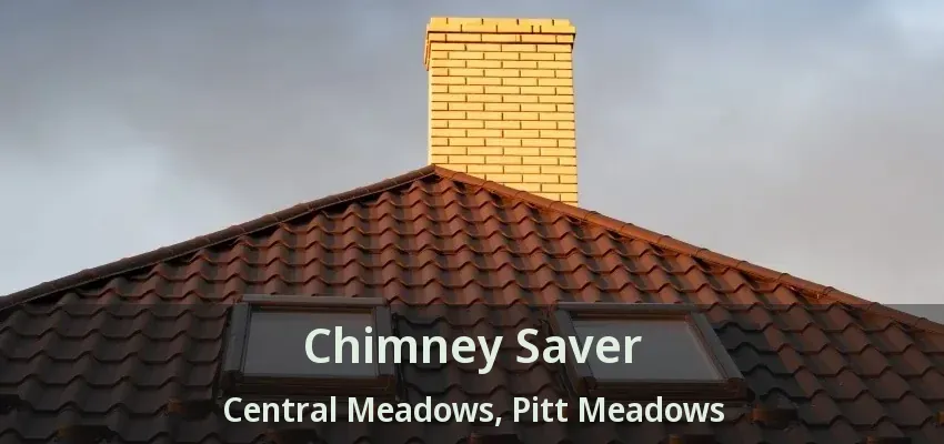 Chimney Saver Central Meadows, Pitt Meadows - BC
