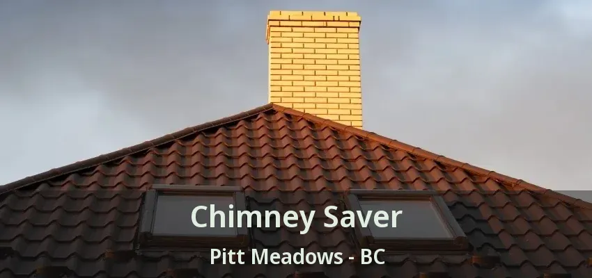 Chimney Saver Pitt Meadows - BC