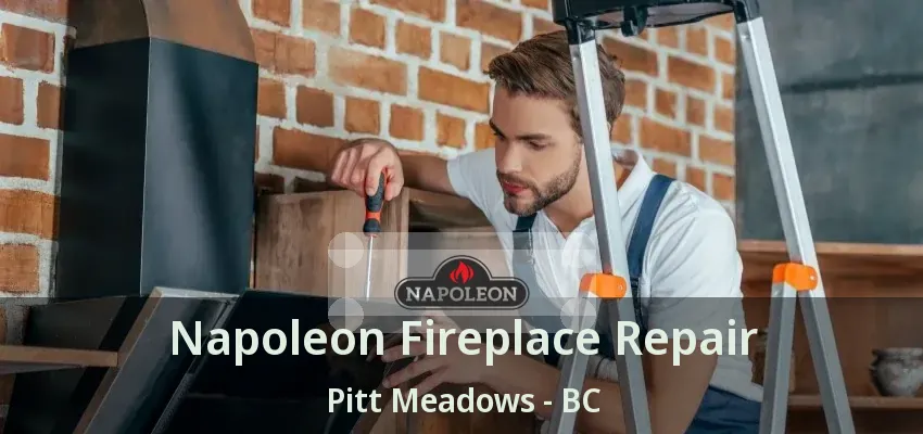 Napoleon Fireplace Repair Pitt Meadows - BC