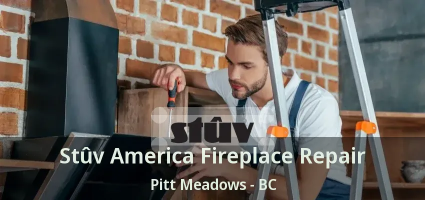 Stûv America Fireplace Repair Pitt Meadows - BC