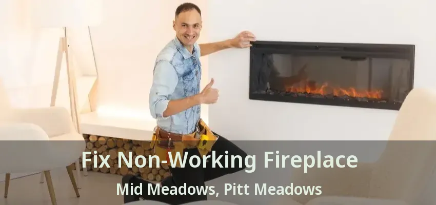 Fix Non-Working Fireplace Mid Meadows, Pitt Meadows - BC