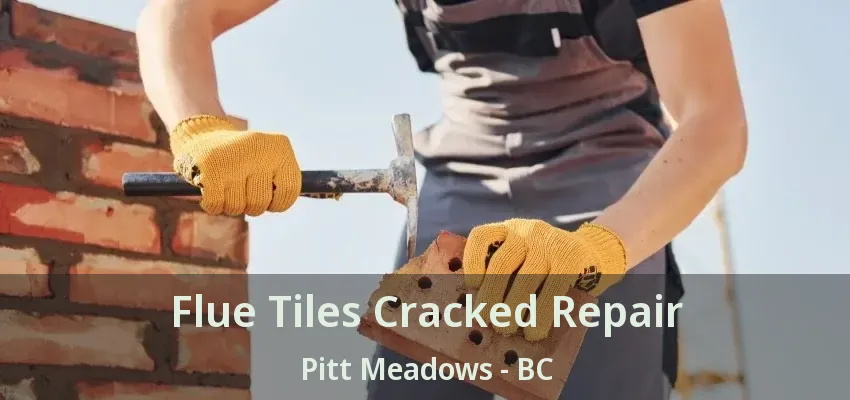Flue Tiles Cracked Repair Pitt Meadows - BC