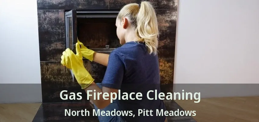 Gas Fireplace Cleaning North Meadows, Pitt Meadows - BC