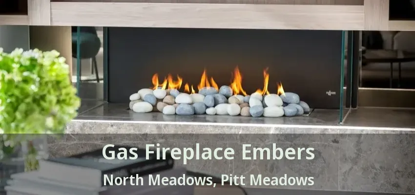 Gas Fireplace Embers North Meadows, Pitt Meadows - BC