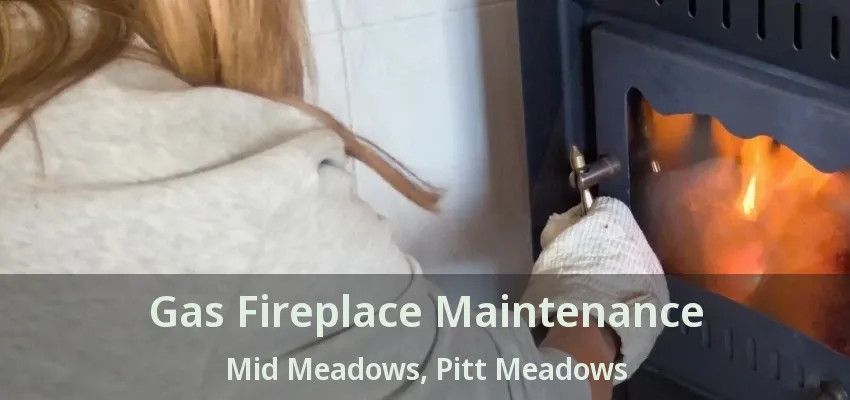 Gas Fireplace Maintenance Mid Meadows, Pitt Meadows - BC