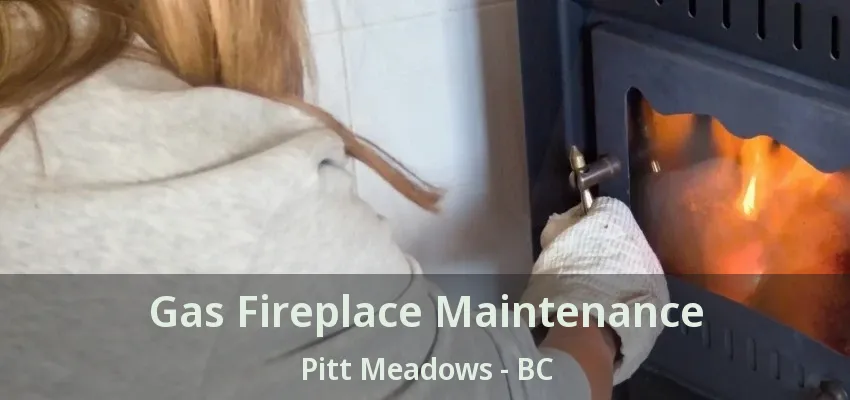 Gas Fireplace Maintenance Pitt Meadows - BC