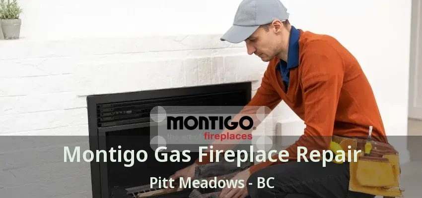 Montigo Gas Fireplace Repair Pitt Meadows - BC