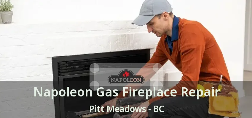 Napoleon Gas Fireplace Repair Pitt Meadows - BC