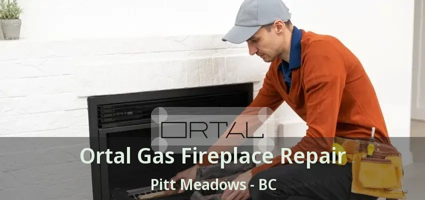 Ortal Gas Fireplace Repair Pitt Meadows - BC