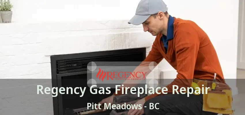 Regency Gas Fireplace Repair Pitt Meadows - BC