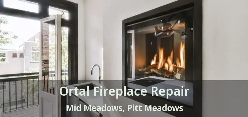 Ortal Fireplace Repair Mid Meadows, Pitt Meadows - BC