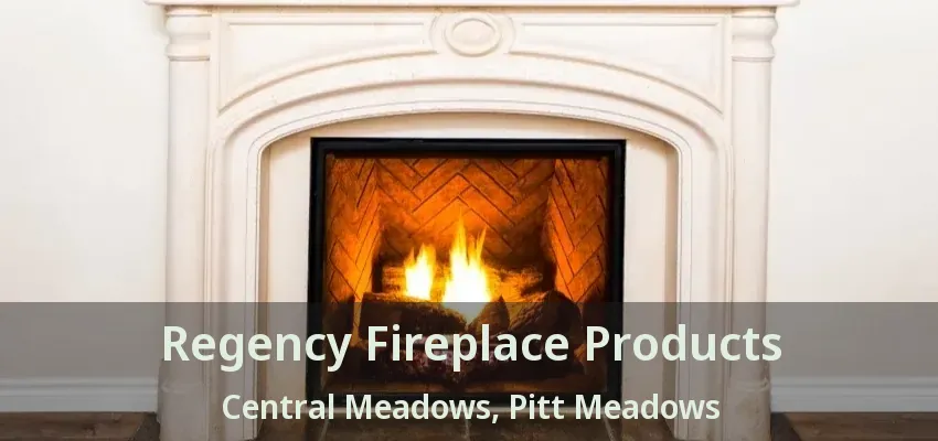 Regency Fireplace Products Central Meadows, Pitt Meadows - BC
